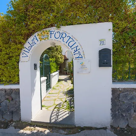 Villa Fortuna Holiday Resort-3