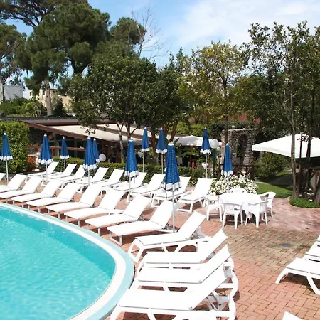 Belvedere Regina-2